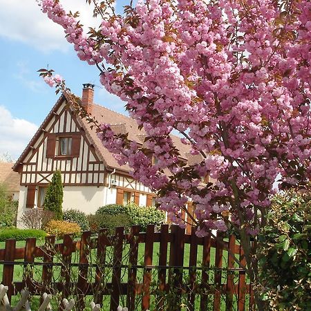 Chambres D'Hotes Au Temps Des Cerises Jumièges Exteriör bild