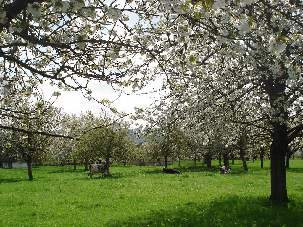 Chambres D'Hotes Au Temps Des Cerises Jumièges Exteriör bild