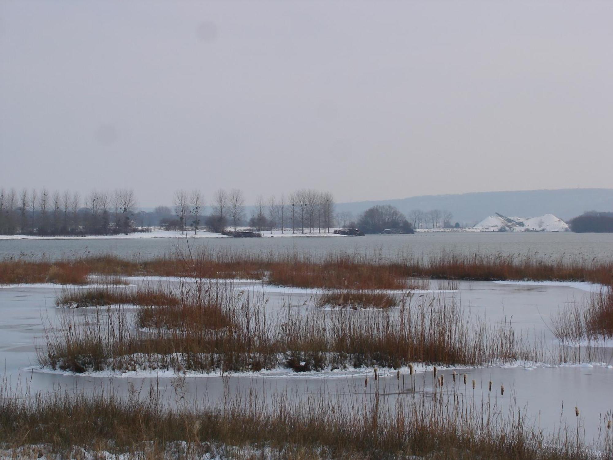 Chambres D'Hotes Au Temps Des Cerises Jumièges Exteriör bild